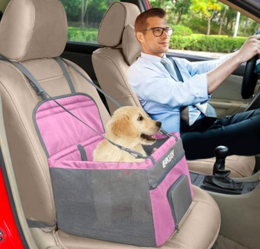 Top 5 Dog Car Seats for Small Dogs: Safety & Comfort