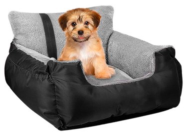 Top 5 Dog Car Seats for Small Dogs: Safety & Comfort