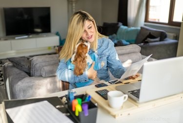 Top Dog Treat-Dispensing Toys to Keep Your Pup Engaged