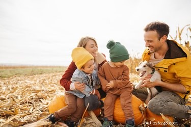Fall Adventures for You and Your Dog: Explore, Play, and Capture Memories