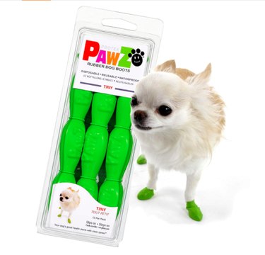 Best Dog Winter Boots of 2022: Ultimate Paw Protection