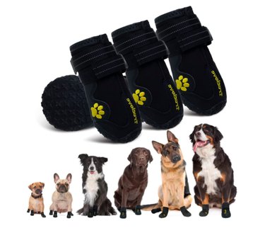 Best Dog Winter Boots of 2022: Ultimate Paw Protection