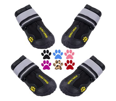 Best Dog Winter Boots of 2022: Ultimate Paw Protection