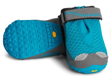 Best Dog Winter Boots of 2022: Ultimate Paw Protection