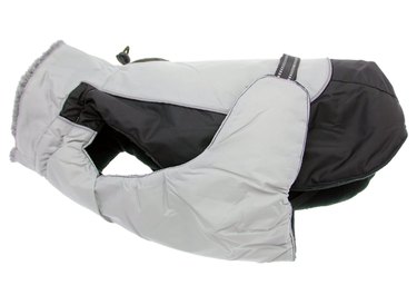 Top Dog Winter Coats of 2022: Warm, Safe, and Stylish