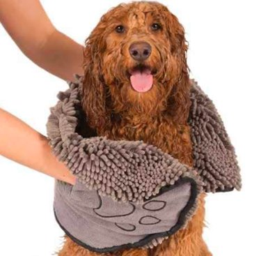 Top Dog Winter Coats of 2022: Warm, Safe, and Stylish
