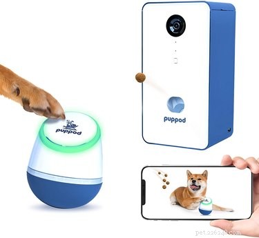 Top Puzzle Toys to Keep Your Dog Mentally Sharp and Happy