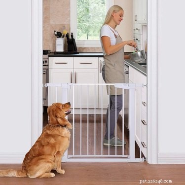 Top-Quality Pet Gates for Safe and Stress-Free Home Living