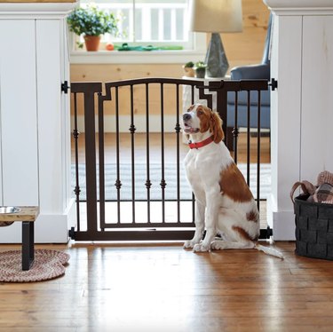 Top-Quality Pet Gates for Safe and Stress-Free Home Living