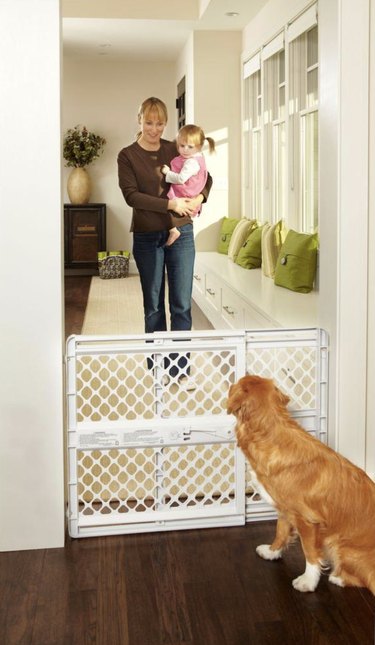 Top-Quality Pet Gates for Safe and Stress-Free Home Living