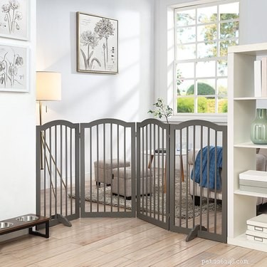 Top-Quality Pet Gates for Safe and Stress-Free Home Living