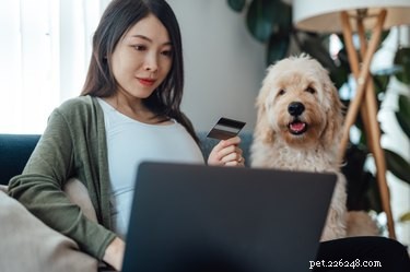 Cyber Monday Pet Supply Deals: Save on Food, Toys & More