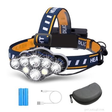 Top Nighttime Gear to Keep You and Your Dog Safe on Dark Walks
