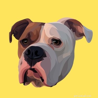 Top Etsy Shops for Stunning Custom Pet Portraits
