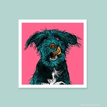Top Etsy Shops for Stunning Custom Pet Portraits