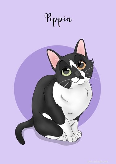 Top Etsy Shops for Stunning Custom Pet Portraits