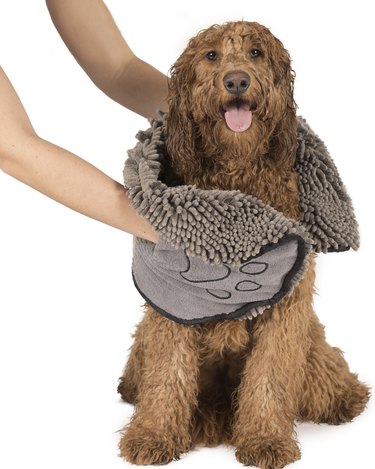 Top Dog Paw Cleaning Solutions: Safe, Effective, and Easy to Use