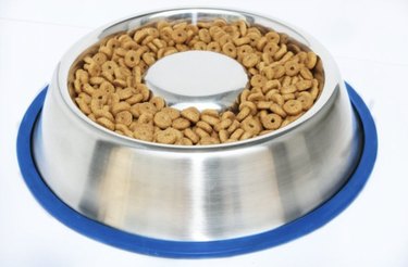 Top Slow-Feeder Bowls for Dogs: Promote Healthy Eating Habits