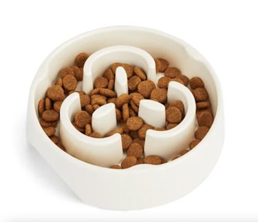 Top Slow-Feeder Bowls for Dogs: Promote Healthy Eating Habits
