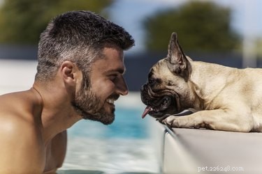 Unveiling How Dogs Learn: Training Secrets Explained