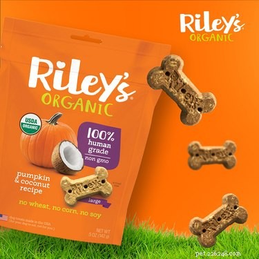 Top 7 Pumpkin‑Flavor Dog Treats for Health and Taste