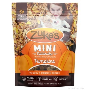 Top 7 Pumpkin‑Flavor Dog Treats for Health and Taste