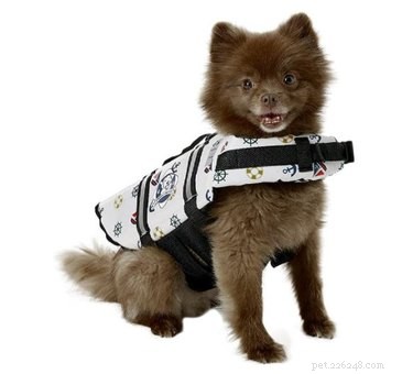 Top Dog Life Jackets for Safer Water Adventures