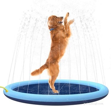 Top 5 Cooling Pads to Keep Dogs & Cats Comfortable in Summer Heat