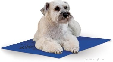 Top 5 Cooling Pads to Keep Dogs & Cats Comfortable in Summer Heat