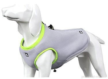 Top Dog Cooling Vests to Keep Your Pet Safe in Hot Weather