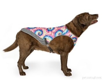 Top Dog Cooling Vests to Keep Your Pet Safe in Hot Weather