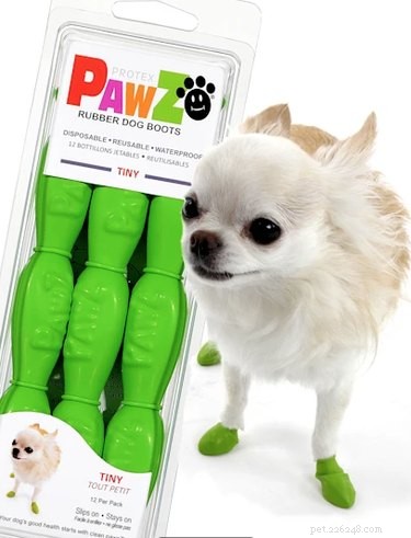 Top Dog Paw Protection Gear for Hot Outdoor Days