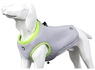 Top Dog Backpacks & Essentials for Perfect Day Outings