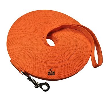 Top Dog Backpacks & Essentials for Perfect Day Outings