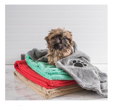 Top Dog Backpacks & Essentials for Perfect Day Outings