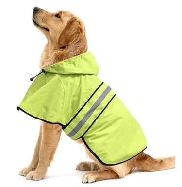 Top Dog Backpacks & Essentials for Perfect Day Outings