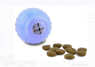 Top 7 Frozen Dog Toys to Keep Your Pup Cool & Happy All Summer