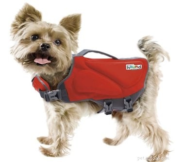Top Water Safety Gear for Dogs: Life Vests, Freshwater & More