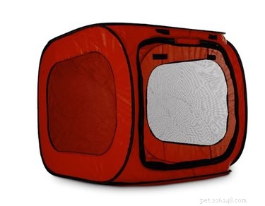 Top Water Safety Gear for Dogs: Life Vests, Freshwater & More