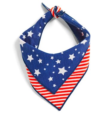 Celebrate the Fourth of July with Exclusive Dog Product Sales