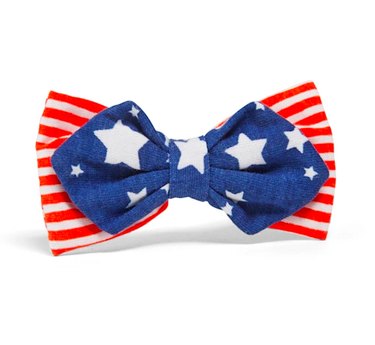 Celebrate the Fourth of July with Exclusive Dog Product Sales