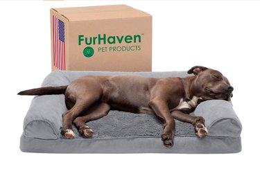 Celebrate the Fourth of July with Exclusive Dog Product Sales