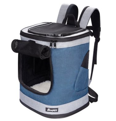 Top Hiking Gear for Dogs & Their Humans: Safe & Fun Outdoor Adventures