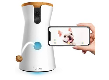 Prime Day 2021: Exclusive Deals on Premium Dog Products
