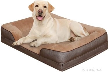 Prime Day 2021: Exclusive Deals on Premium Dog Products