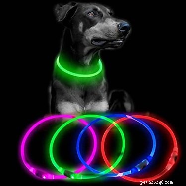 Prime Day 2021: Exclusive Deals on Premium Dog Products