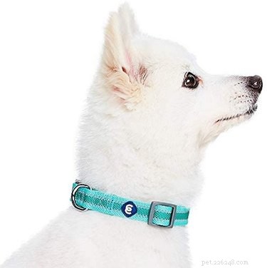 Prime Day 2021: Exclusive Deals on Premium Dog Products