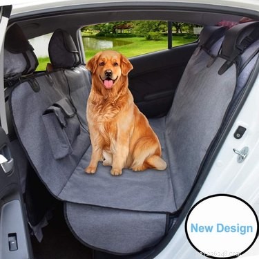 Prime Day 2021: Exclusive Deals on Premium Dog Products