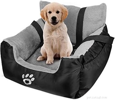 Prime Day 2021: Exclusive Deals on Premium Dog Products