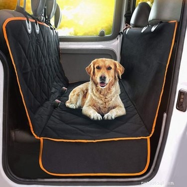 Prime Day 2021: Exclusive Deals on Premium Dog Products